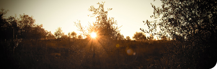 La Porta di Vertine image