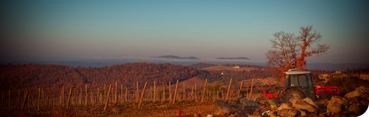 La Porta di Vertine image