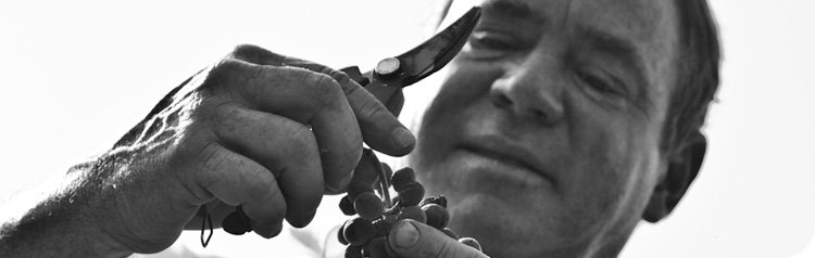 La Porta di Vertine image